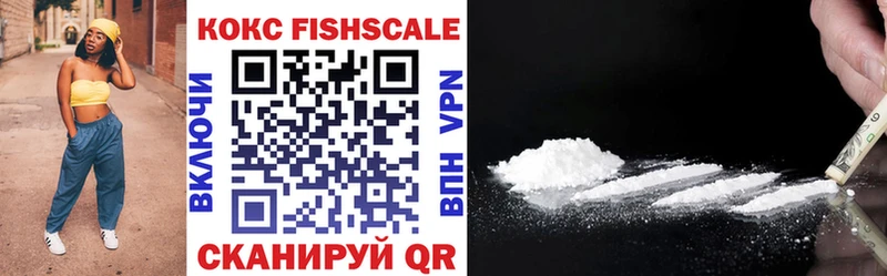 дарнет шоп  Усолье  КОКАИН Fish Scale 